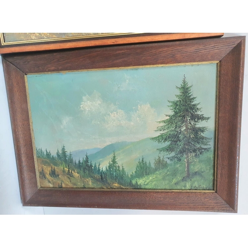 83 - Two mountain scene, oil on board paintings by different artists, both framed (2)

Largest oil measur... 