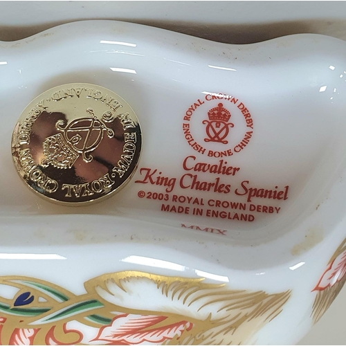 520 - Royal Crown Derby paper-weight, Cavalier King Charles Spaniel - gold stopper