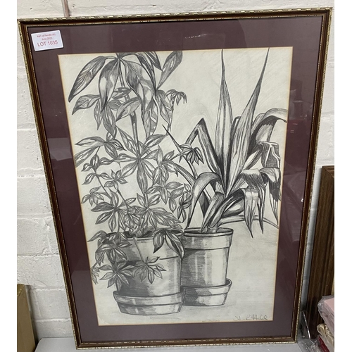 1035 - Framed pencil sketch of a potted plant