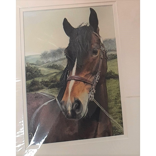 68 - Stunning quality watercolour portrait of a horses head, indistinctly signed, together with a limited... 