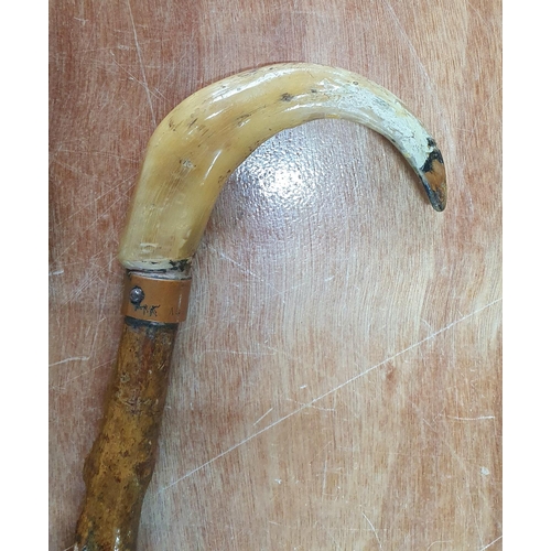 199 - Two old walking sticks including a horn handled example (2)