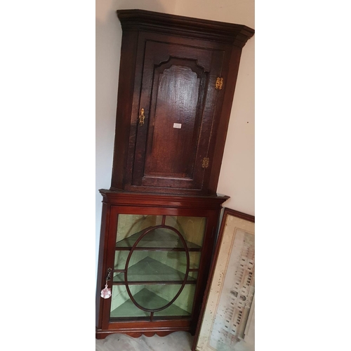 Lot 1046      