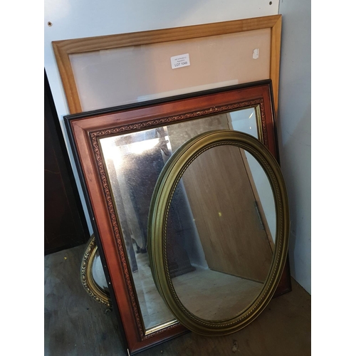 Lot 1049      
