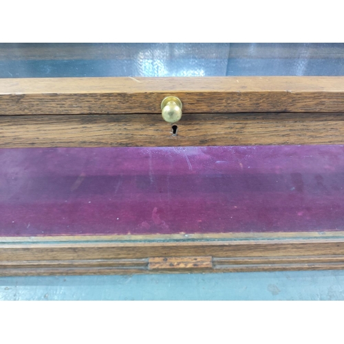 119 - Oak sword display case, glazed with inner lining

L-142,  W-35, H-31cm