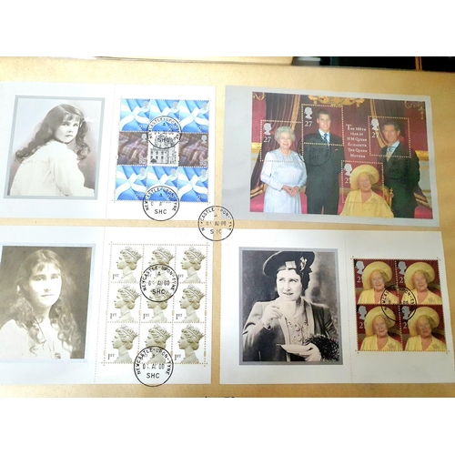 212 - Box of QEII  post decimal FDC including gutter pairs and mini sheets on oversized envelopes (Qty)