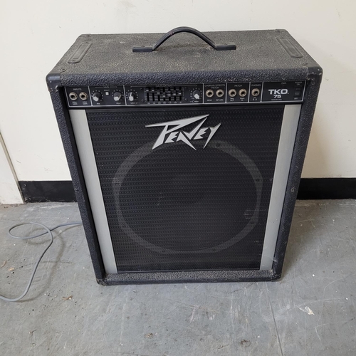 299 - Peavy TKO 75 amplifier