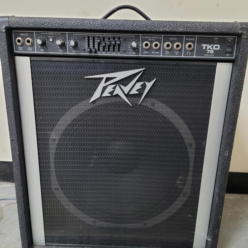 299 - Peavy TKO 75 amplifier