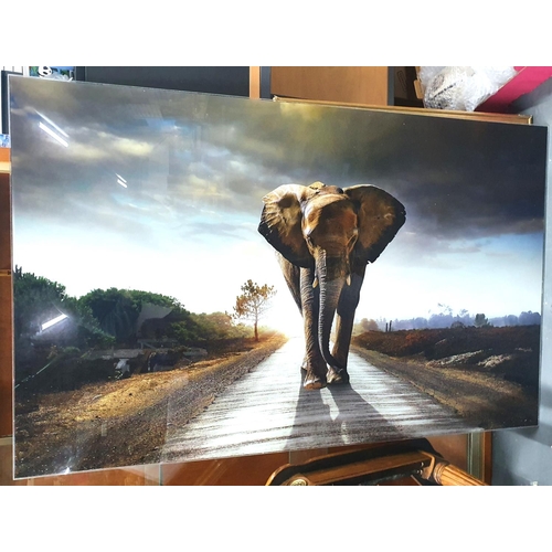 96 - Large, fine quality Glass print depicting an Elephant walking down a road,

75 x 120cm