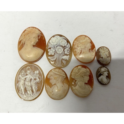 42 - Eight unmounted antique cameos (8)