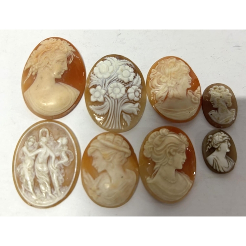 42 - Eight unmounted antique cameos (8)