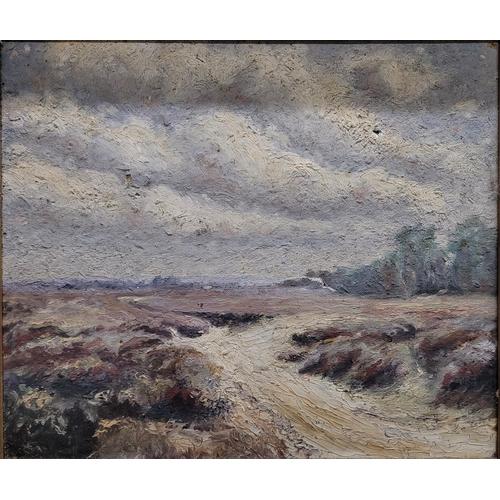 102 - Early 20thC indistinctly signed impressionist oil on canvas painting depicting a baron moorland land... 