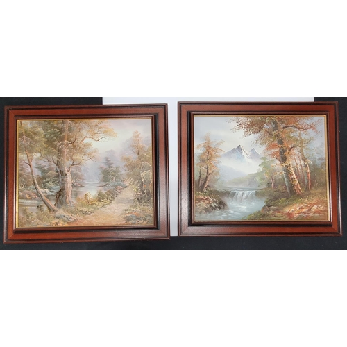 104 - Pair of indistinctly signed decorative oil on canvas landscapes, both in matching wood frames (2)