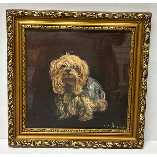 180 - Framed & glazed oil painting of a Yorkshire terrier by William (Billy) Hobson