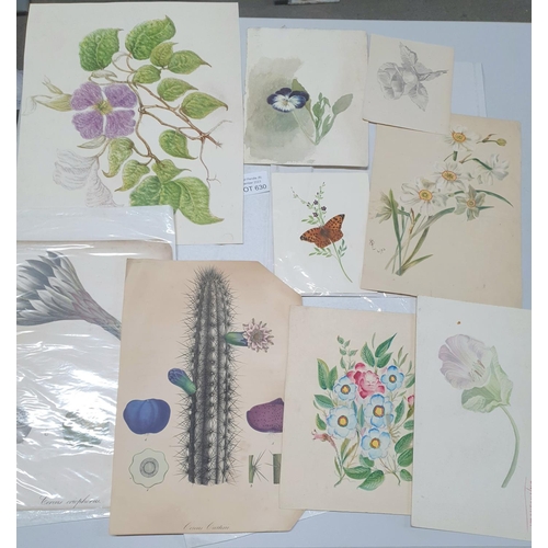 630 - Folio of small 19thC watercolours and prints etc of floral scenes including an circa1808 example (Qt... 