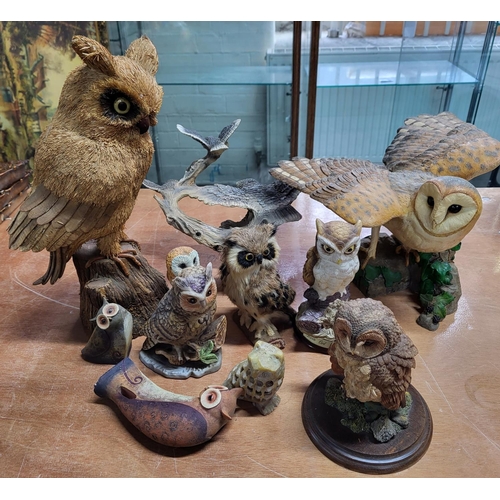 71 - Collection of owl figures (Qty)