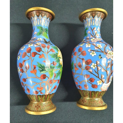 77 - Stunning pair of cloisonné vases (2).