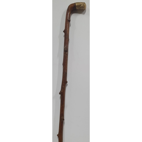 160 - Victorian Mahongany walking stick with a lovely antique 