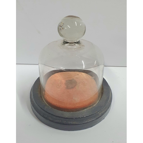 286 - Lovely very small antique glazed domed cover on covered circular wooden base.