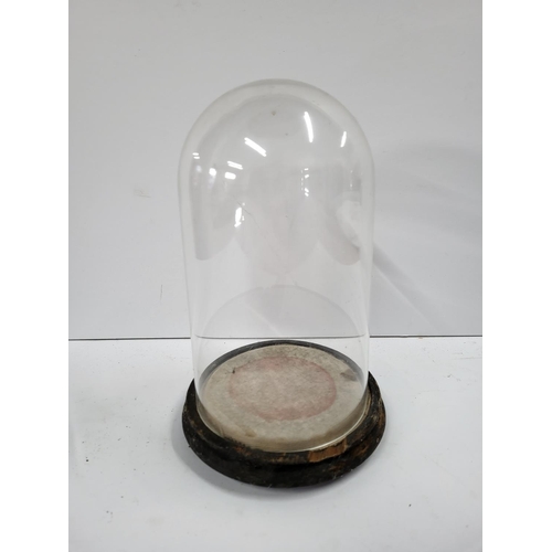 308 - Victorian glass display dome with wooden base


8.5 inch tall