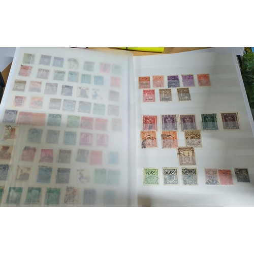 590 - Blue stock book containing a large quanity of India 19th and 20thC mainly used unmounted and some Ma... 