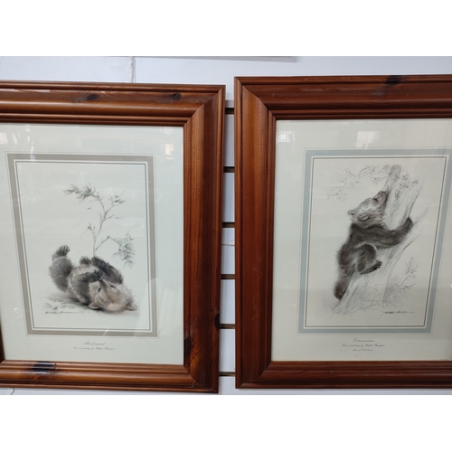 402 - Five Ralph Thompson bear prints in Pine frames together with a cattle print (6)