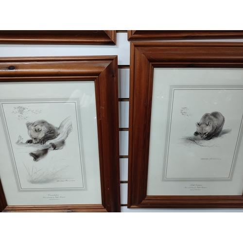 402 - Five Ralph Thompson bear prints in Pine frames together with a cattle print (6)