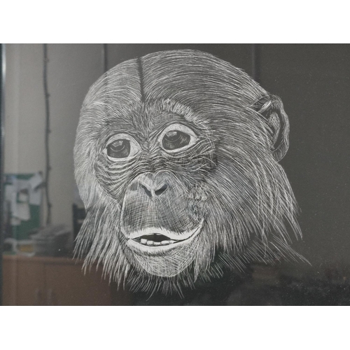 197 - J. Prime, 1975, Limited printed portrait of an Ape #1/12

40 x 35cm