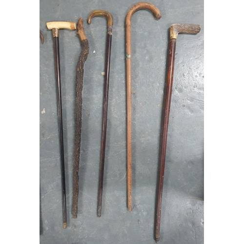 486 - Collection of 8 good quality antique and old walking sticks, some horn or bone handled (8)