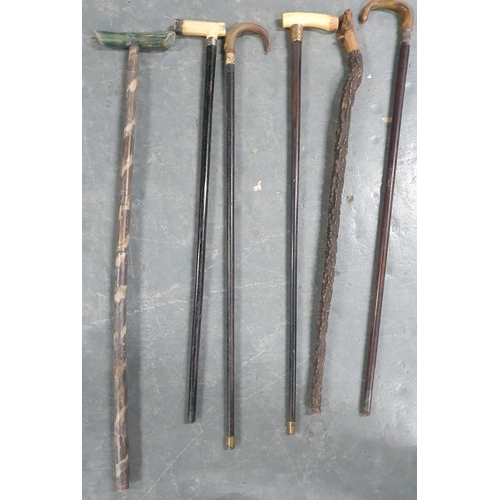 486 - Collection of 8 good quality antique and old walking sticks, some horn or bone handled (8)