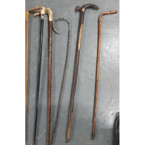 487 - Collection of 11 good quality antique and old walking sticks, some horn or bone handled and a riding... 