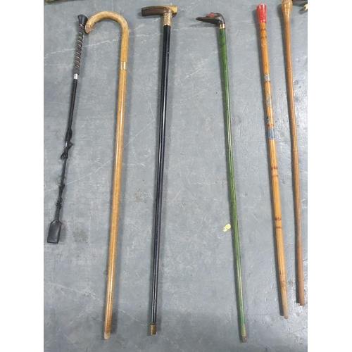 487 - Collection of 11 good quality antique and old walking sticks, some horn or bone handled and a riding... 