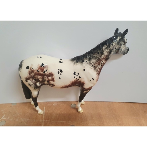 512 - Beswick Appaloosa Stallion, model no. 1772, designed by Arthur Gredington,

Approx 20cm high by 24cm... 