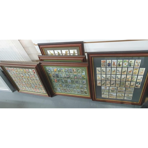 87 - 6 Glazed and framed cigarette cards including Pigeons, floral and flags etc (6)