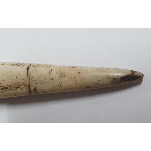 7 - Stone age bone dagger with small remnants of line decoration together with a small Stone age stone t... 