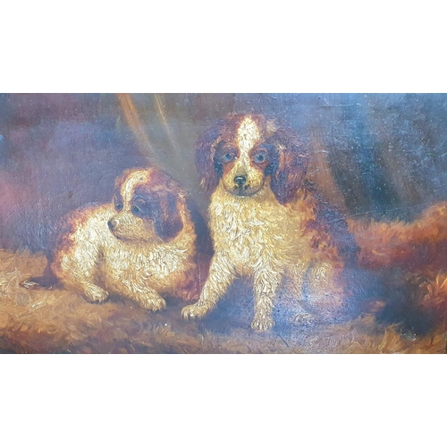 116 - Unsigned c1900 oil on artists board of two matching puppies in original gilt frame with Birkenhead d... 