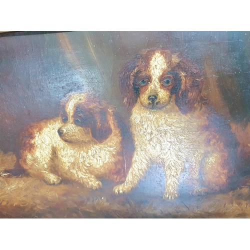 116 - Unsigned c1900 oil on artists board of two matching puppies in original gilt frame with Birkenhead d... 