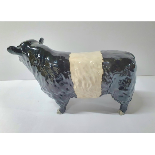 129 - A belted Galloway bull unsigned to under-side but indistinctly side, possibly Beswick to feet,

Appr... 