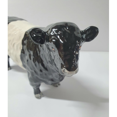 129 - A belted Galloway bull unsigned to under-side but indistinctly side, possibly Beswick to feet,

Appr... 