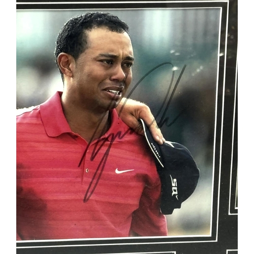 112 - Signed Tiger Woods picture with COA