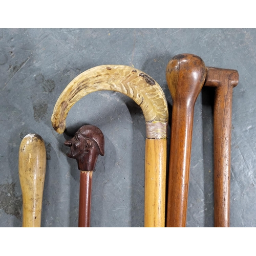 528 - Selction of walking sticks and a coach horn (Qty)