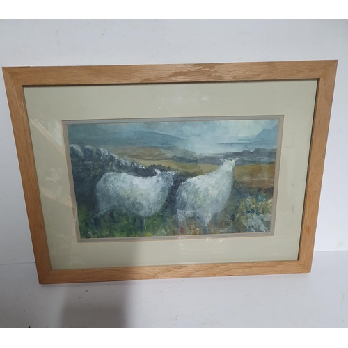 764 - Framed watercolour of two  Sheep, signed M.E. Walker