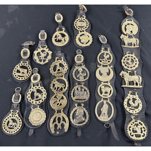 56 - Collection of horse brass on Martindales (Qty)