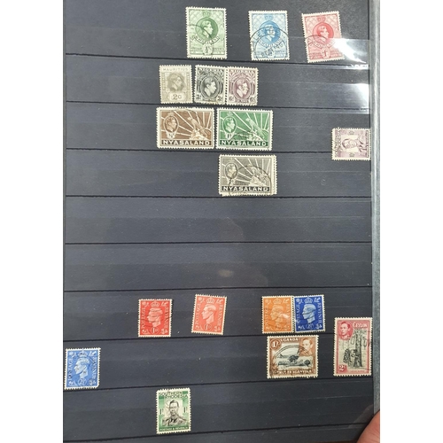 243 - Blue and red stock books both containing 20thC world mint and mainly used stamps, good section of Co... 