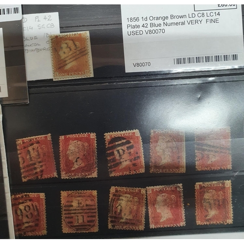 275 - Large quantity of dealer organized GB QV mint and used stamps, both perf and imperf etc (approx 100)