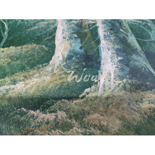 127 - Two indistinctly signed oils on canvas depicting woodland scenes (2)

51 x 61cm