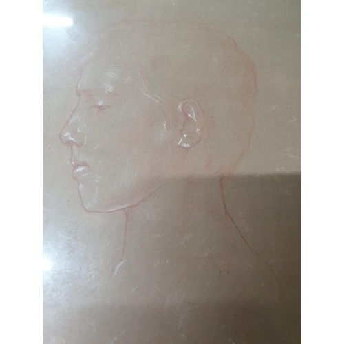 367 - Unsigned, high quality, mid 20thC conte crayon profile portrait of a young boy in thin frame