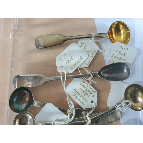 17 - Collection of 11 Georgian & silver salt spoons etc (11)

95 grams