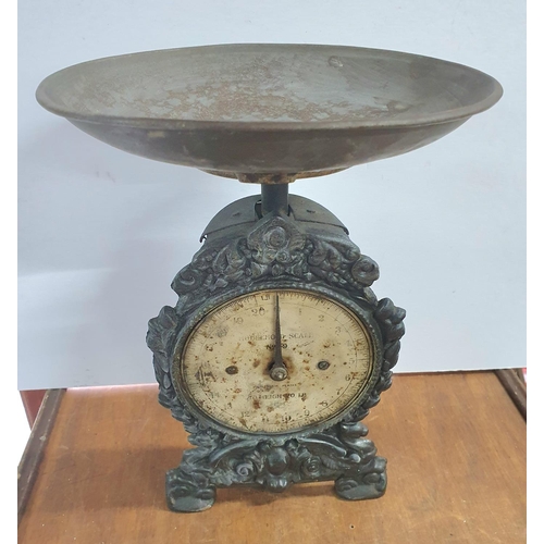 78 - Ornate antique, cast-iron house-hold scales