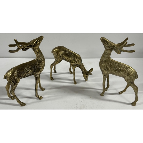 105 - 3 brass deers