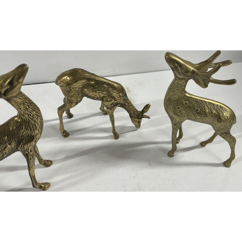 105 - 3 brass deers